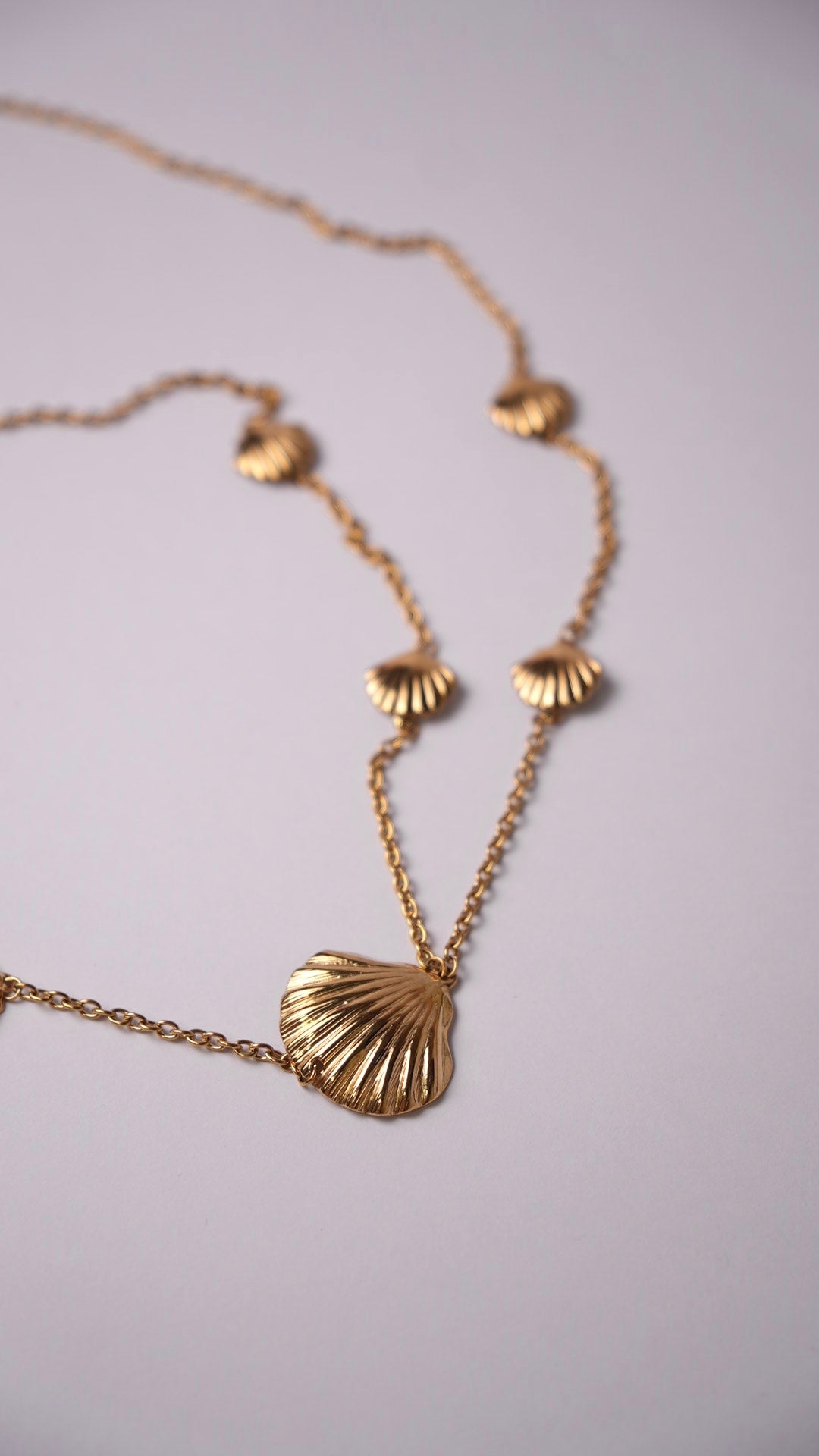 Collar largo conchas