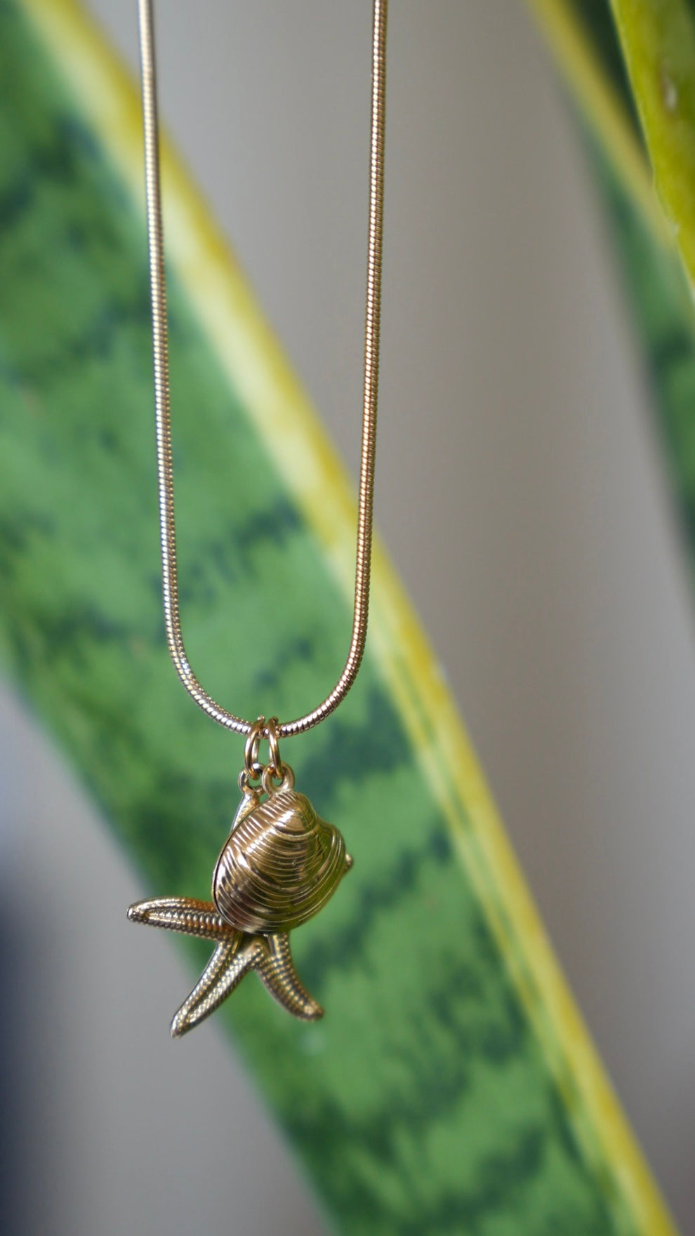 Collar océano