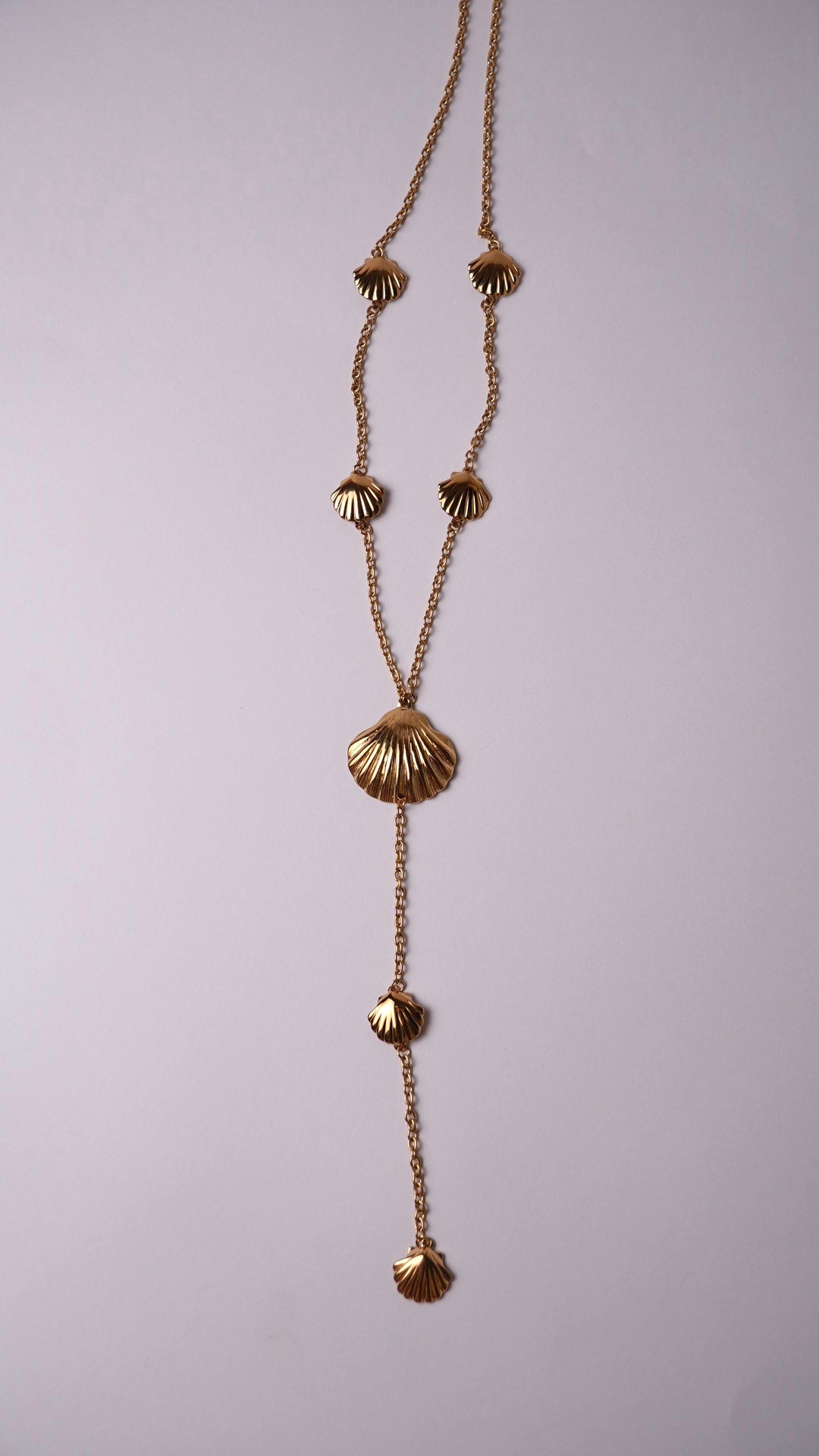 Collar largo conchas