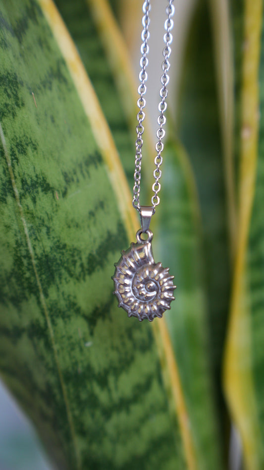 Collar Caracola Plata - Nuh Nuh