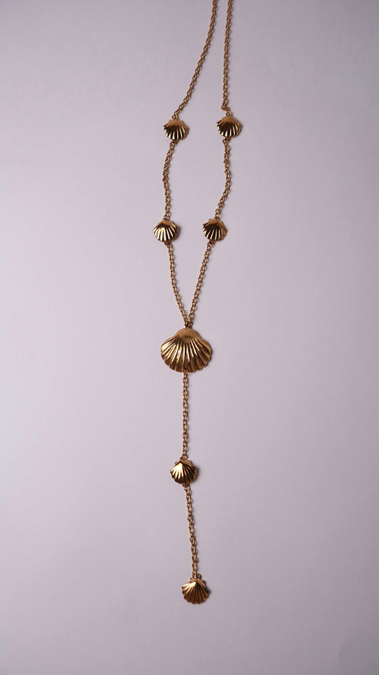 Collar largo conchas
