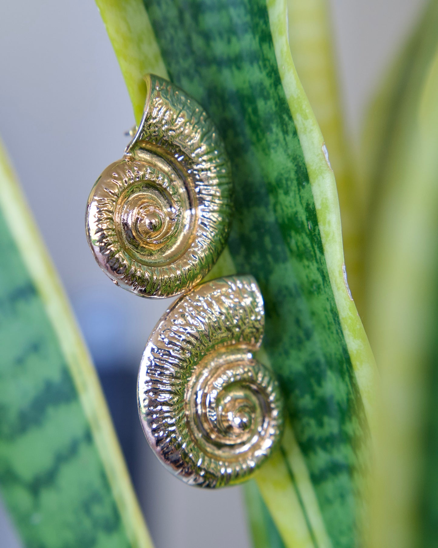 Pendientes Caracola Grande dorado - Nuh Nuh