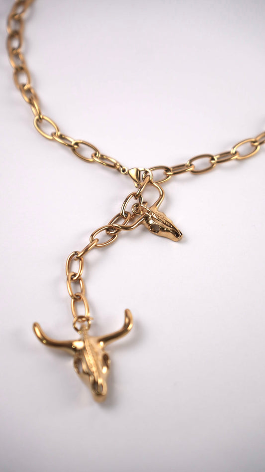 Collar cabeza de toro