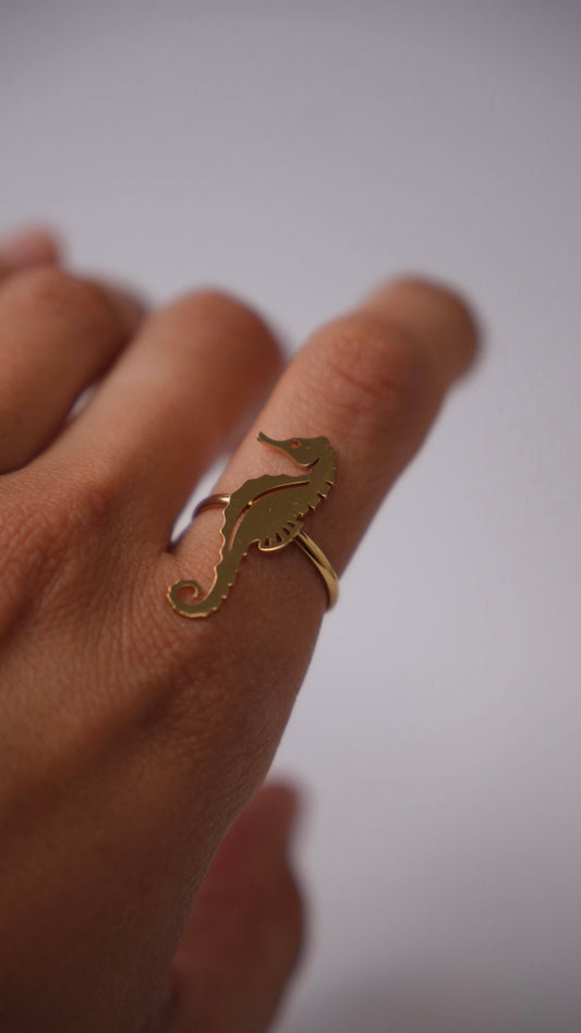 Anillo caballito de mar