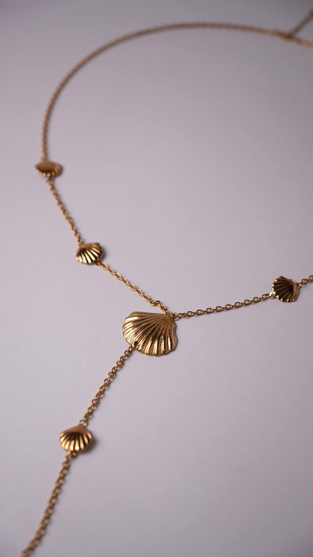 Collar largo conchas