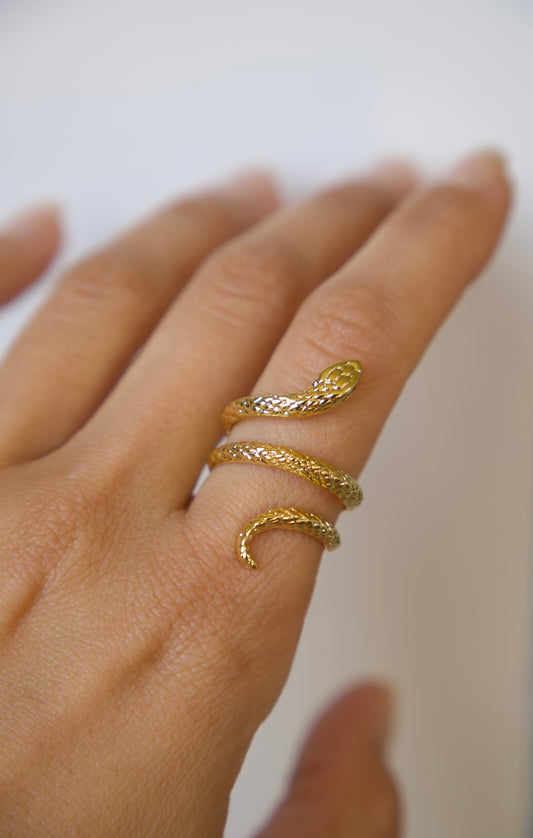 Anillo Serpiente doble - Nuh Nuh